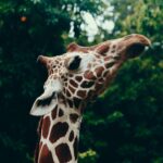 Teach Your Kids to Code Playground with Tynker